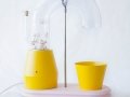 Popcorn machine by Jolene Carlier_5