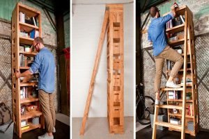 Secret pop out ladder_2