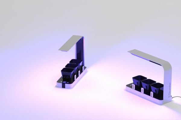 BB Little Garden fragrances your cooking experience_2