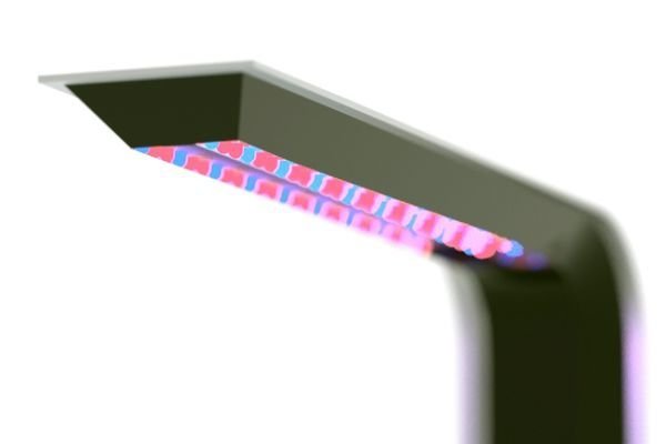 BB Little Garden fragrances your cooking experience_3