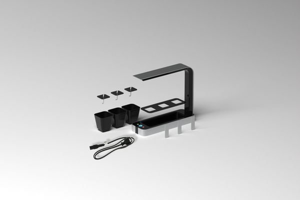 BB Little Garden fragrances your cooking experience_4