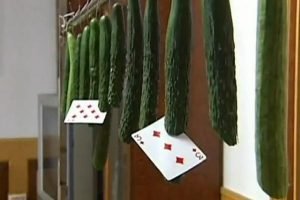 Slicing vegetables with thrown playing cards