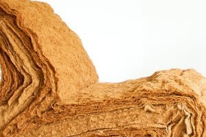 Coconut fiber chair by jorrit taekema
