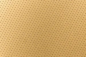 Gold DISK Coffee Filter