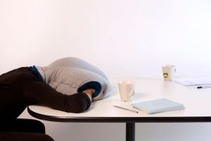 Ostrich Pillow design