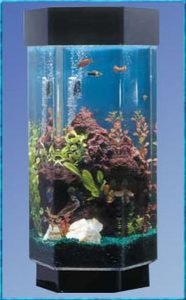 Aqua Scape Tabletop Aquarium