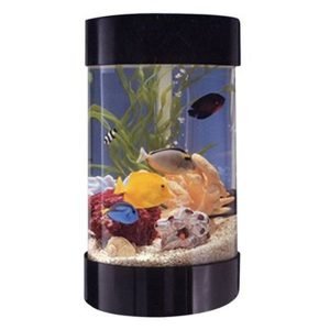Aqua Scape Tabletop Aquarium