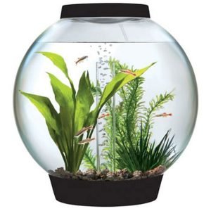 BiOrbs Tabletop Aquarium