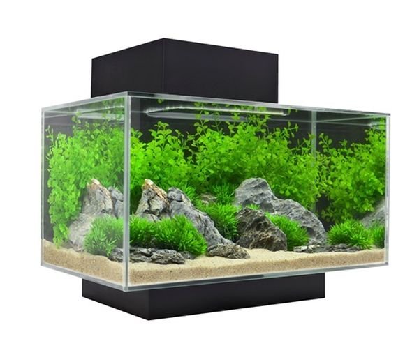 aquarium home decor