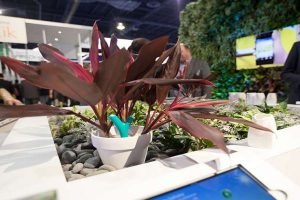 Flower Pot for Gardeners