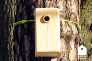 DO-IT-bird_house
