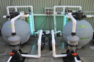 Perth Zoo Crocodile Pool - yoovee ultraviolet water sterlisation