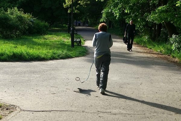 invisible dogs in poland