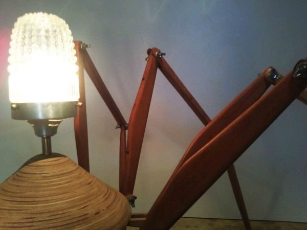 Bruno Freire create the anatomically 'correct' Spider Lamp_6