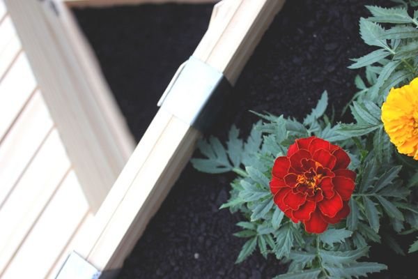 Hexo Garden by Joe Levy_3