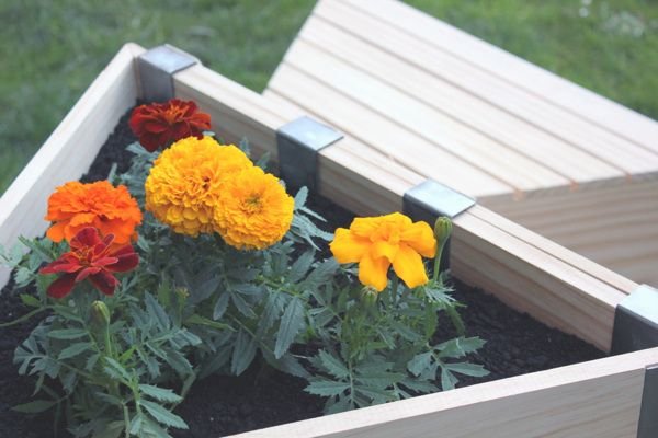 Hexo Garden by Joe Levy_5