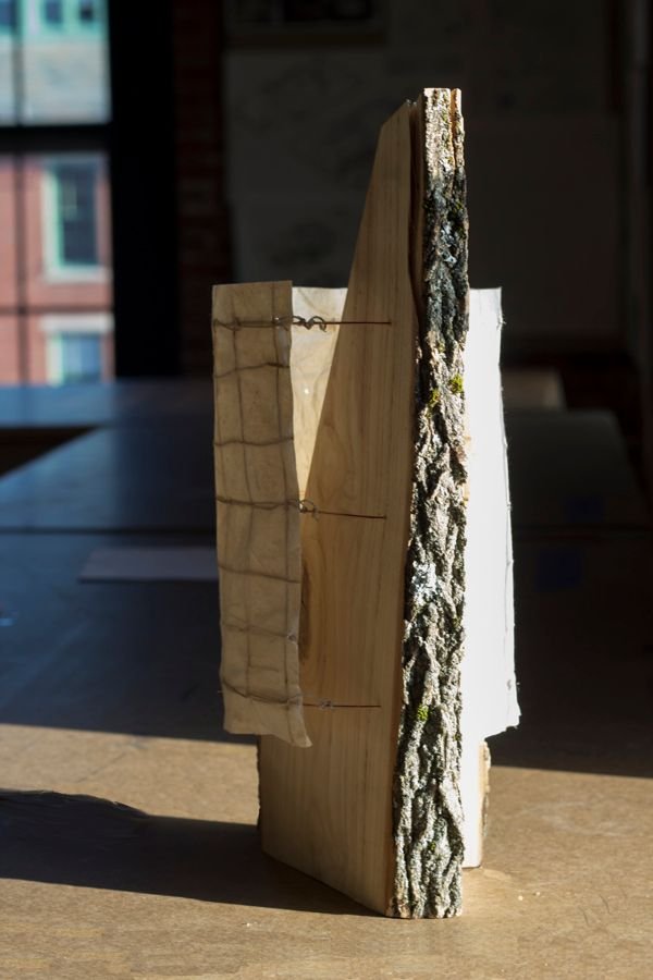 Kindling Lamp crafted from natural ash wood_3
