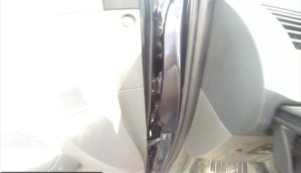 Live cat stuck inside her rental car_1