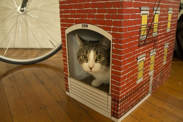 Brooklyn architecture inspired Cat Townhouse_2