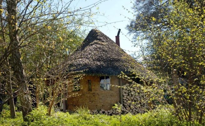 Michael Buck creates cob house for $250_4