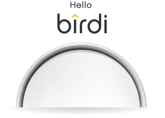 Birdi smart air detector