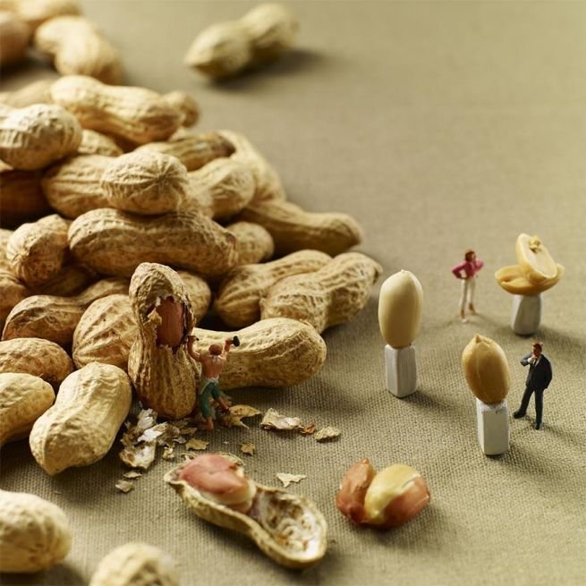 Amazing food art by Pierre Javelle and Akiko Ida_4