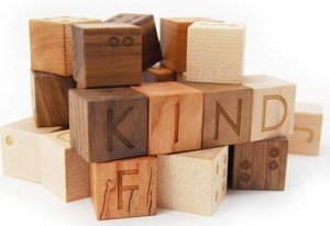 Braille alphabet wooden blocks