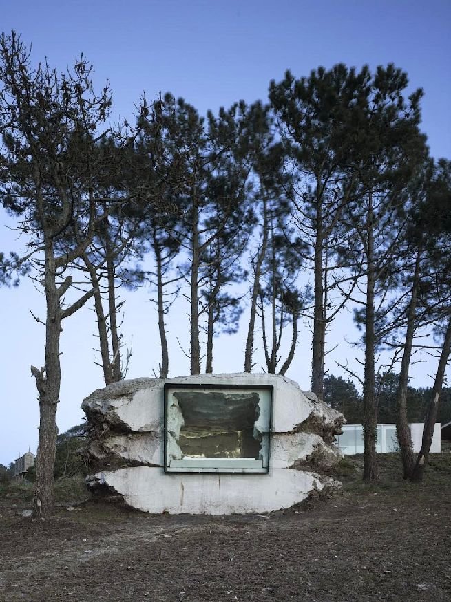 Truffle holiday home created by a cow_2