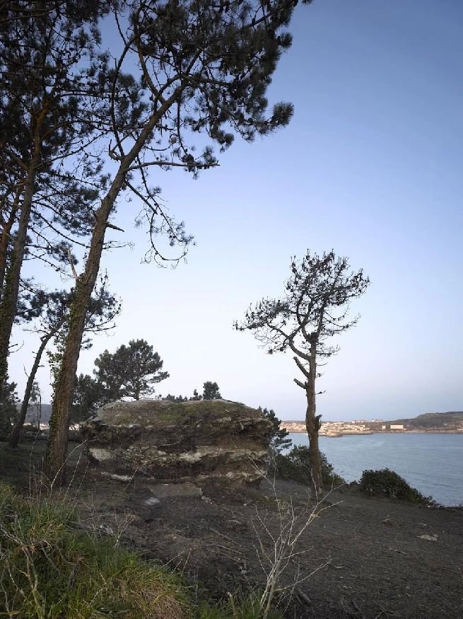 Truffle holiday home created by a cow_8