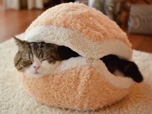 Cat-Burger-Pillow_3