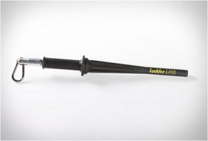 LadderLimb_3