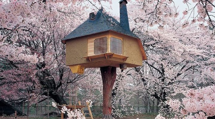 fujimori cherry blossom treehouse