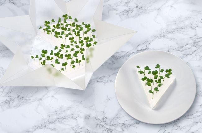 Microgarden by Tomorrow Machine_3