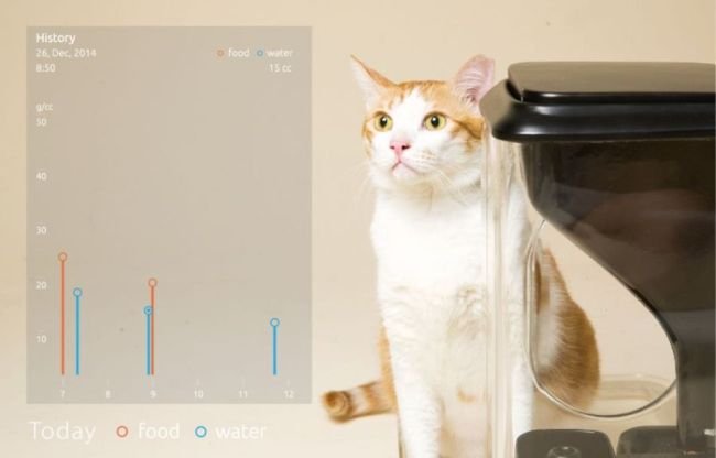 Bistro Smart Feeder for cats_3