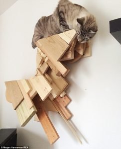 Cat_Designer_Furniture_4