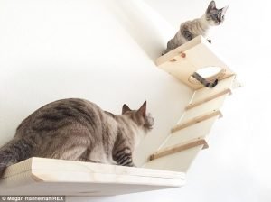 Cat_Designer_Furniture_6