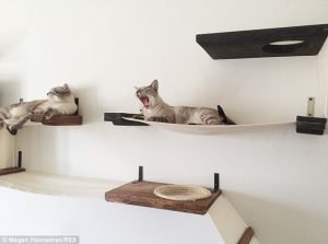 Cat_Designer_Furniture_7