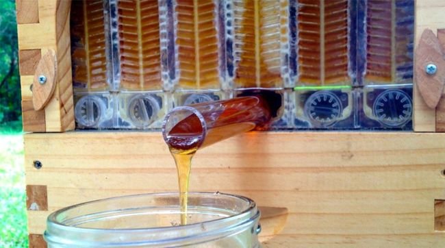 Flow Hive Directly Taps Natural Honey_4