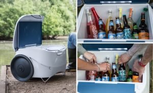Nipi Cooler