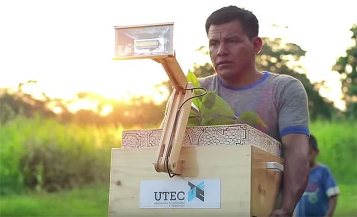 Plant Lamp by UTEC_5