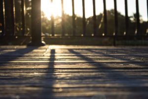 wooden deck sunlight