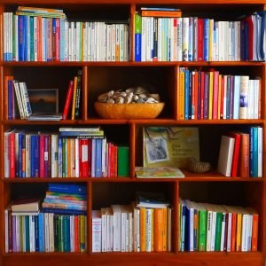 bookshelf books