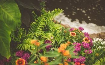 trasform your garden into a work of art