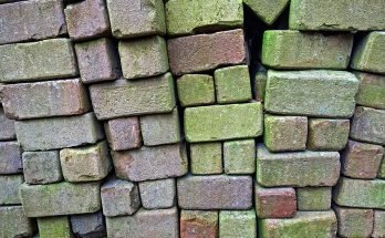 moldy bricks
