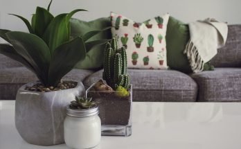 planters