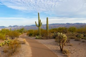 road through arizona desert