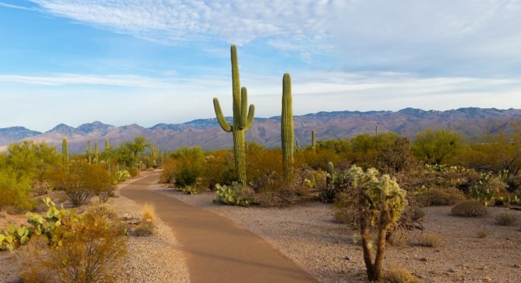 road through arizona desert