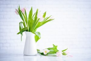 tulips in vase