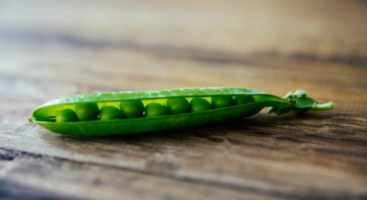 peas on a table