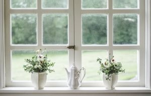windows with vases